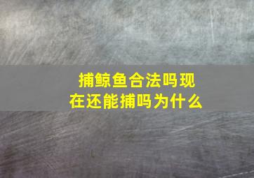 捕鲸鱼合法吗现在还能捕吗为什么