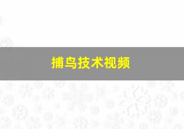 捕鸟技术视频