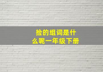 捡的组词是什么呢一年级下册