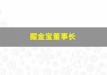 掘金宝董事长