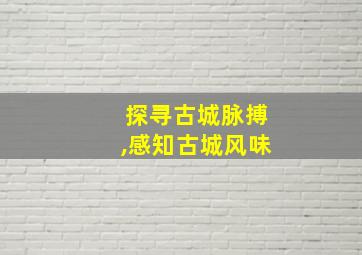 探寻古城脉搏,感知古城风味