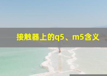 接触器上的q5、m5含义