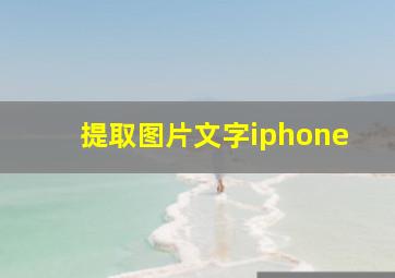 提取图片文字iphone