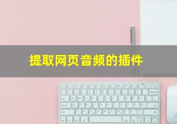 提取网页音频的插件