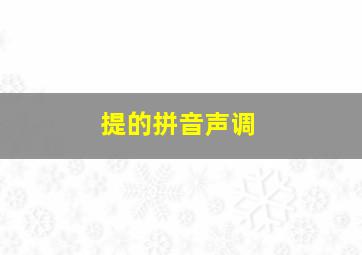 提的拼音声调