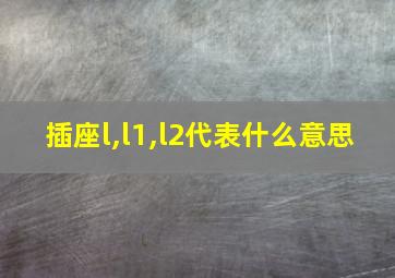 插座l,l1,l2代表什么意思