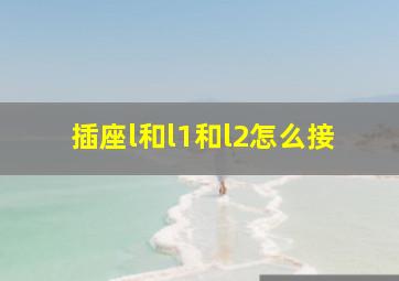 插座l和l1和l2怎么接