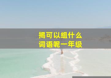 揭可以组什么词语呢一年级