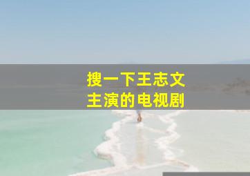 搜一下王志文主演的电视剧