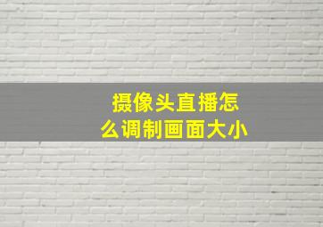 摄像头直播怎么调制画面大小