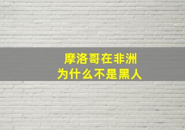 摩洛哥在非洲为什么不是黑人