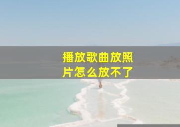 播放歌曲放照片怎么放不了