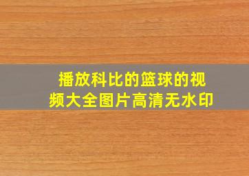 播放科比的篮球的视频大全图片高清无水印