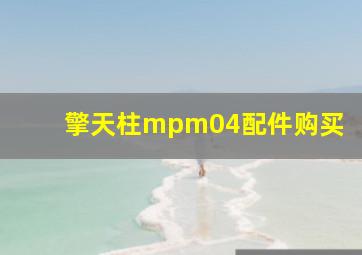 擎天柱mpm04配件购买