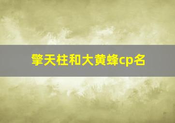 擎天柱和大黄蜂cp名