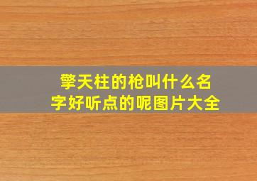 擎天柱的枪叫什么名字好听点的呢图片大全