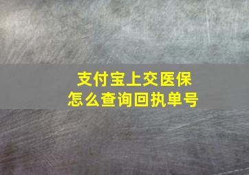 支付宝上交医保怎么查询回执单号