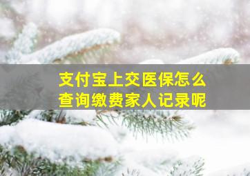 支付宝上交医保怎么查询缴费家人记录呢