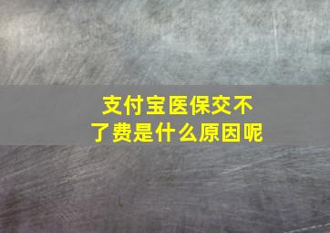 支付宝医保交不了费是什么原因呢