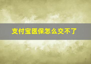 支付宝医保怎么交不了