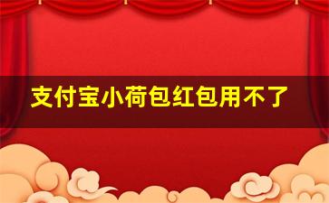 支付宝小荷包红包用不了