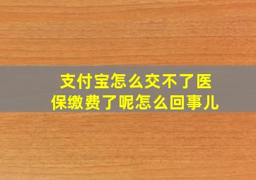 支付宝怎么交不了医保缴费了呢怎么回事儿