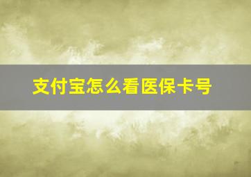 支付宝怎么看医保卡号