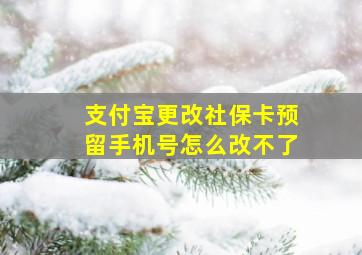 支付宝更改社保卡预留手机号怎么改不了