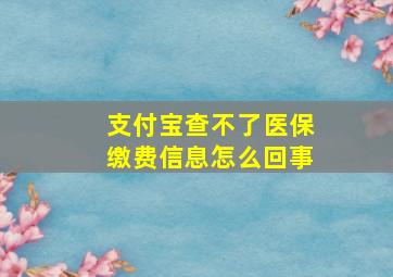 支付宝查不了医保缴费信息怎么回事