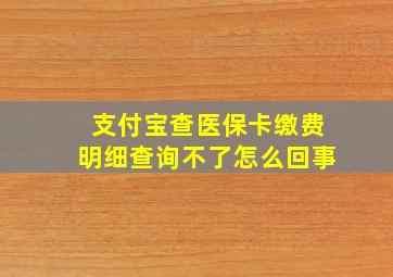 支付宝查医保卡缴费明细查询不了怎么回事