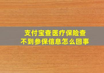 支付宝查医疗保险查不到参保信息怎么回事