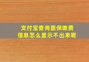 支付宝查询医保缴费信息怎么显示不出来呢