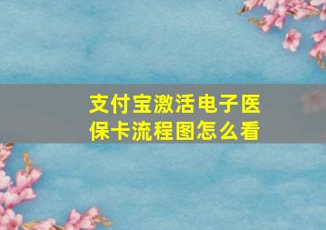 支付宝激活电子医保卡流程图怎么看