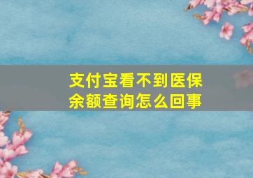 支付宝看不到医保余额查询怎么回事