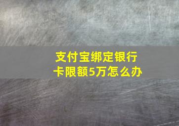 支付宝绑定银行卡限额5万怎么办