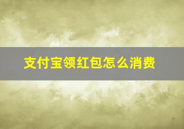 支付宝领红包怎么消费