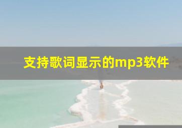 支持歌词显示的mp3软件