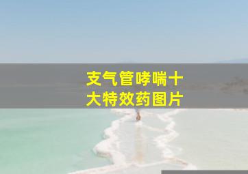 支气管哮喘十大特效药图片