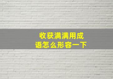 收获满满用成语怎么形容一下