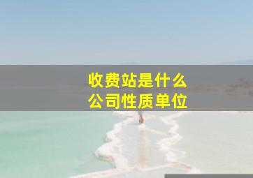 收费站是什么公司性质单位