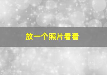 放一个照片看看