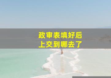 政审表填好后上交到哪去了