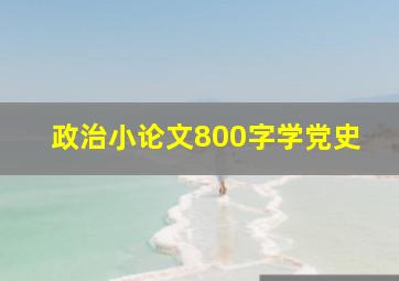 政治小论文800字学党史