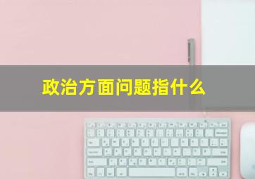 政治方面问题指什么