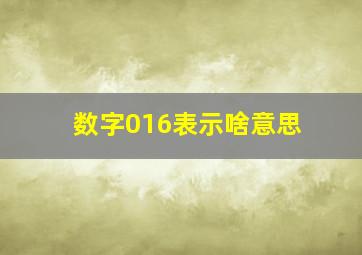 数字016表示啥意思