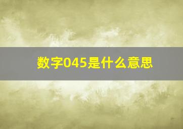 数字045是什么意思