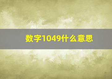 数字1049什么意思