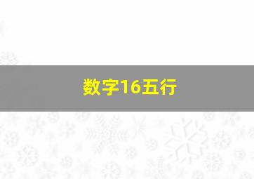 数字16五行