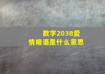 数字2038爱情暗语是什么意思