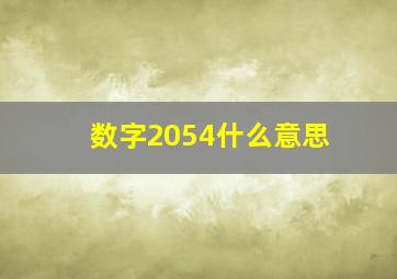 数字2054什么意思